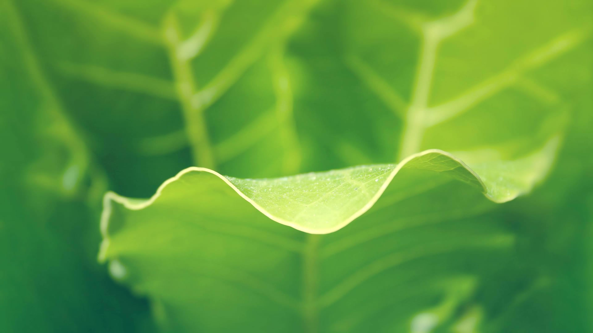 首页banner_1