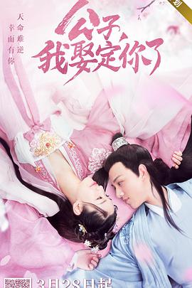 公子，我娶定你了(全集)