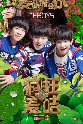 瘋狂的麥咭第三季第11集(大結(jié)局)