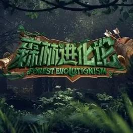 森林進化論20230822期