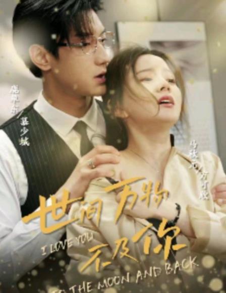 世間萬(wàn)物不及你第13集
