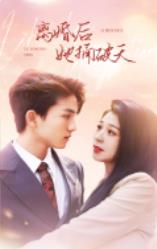 離婚后她捅破天第06集
