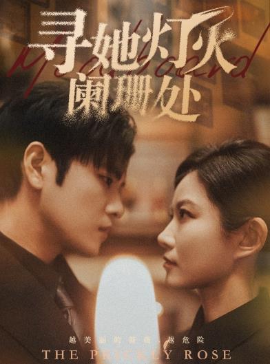 尋她燈火闌珊處第10集