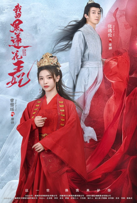 我的黑蓮花王妃第08集