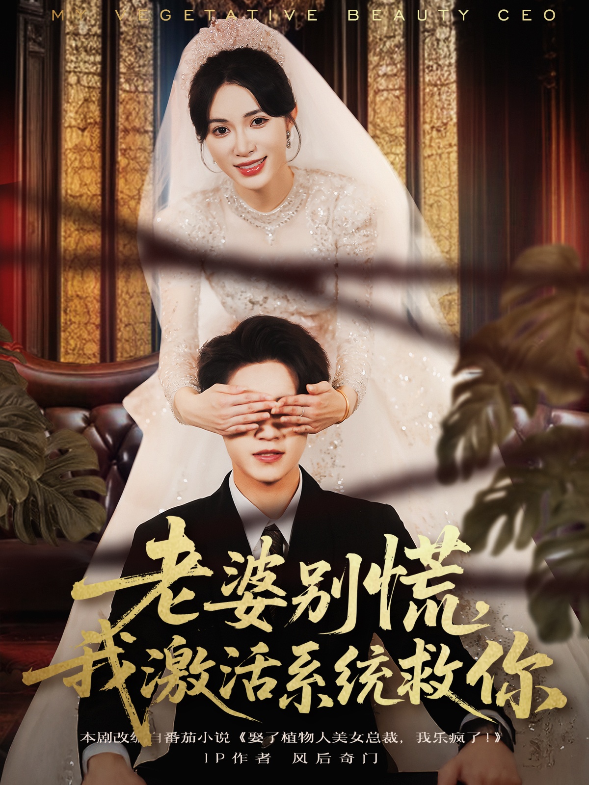 老婆別慌，我激活系統(tǒng)救你(全集)