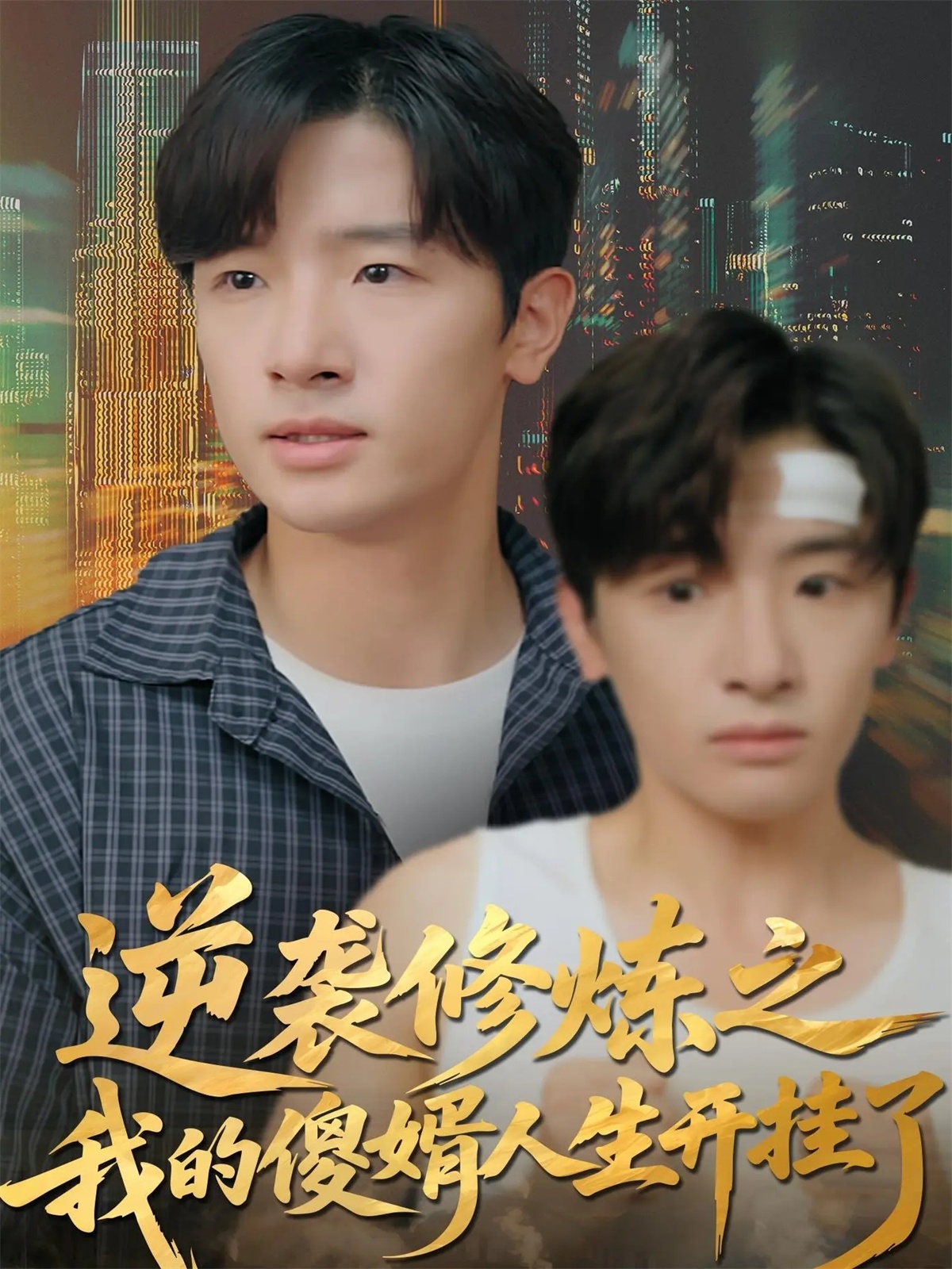 逆襲修煉之我的傻婿人生開掛了(全集)