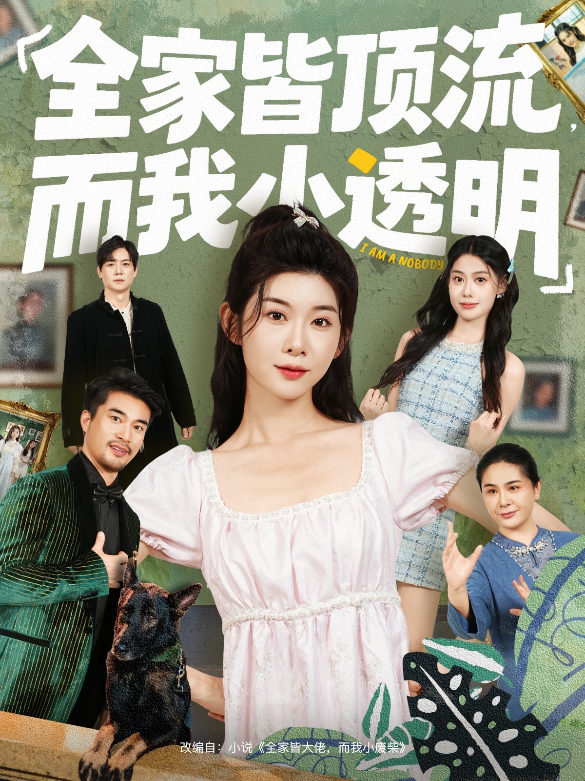 全家皆頂流，而我小透明(全集)