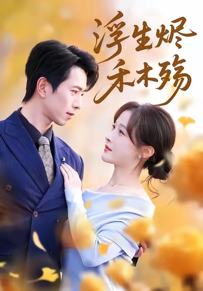 浮生燼禾木殤(全集)