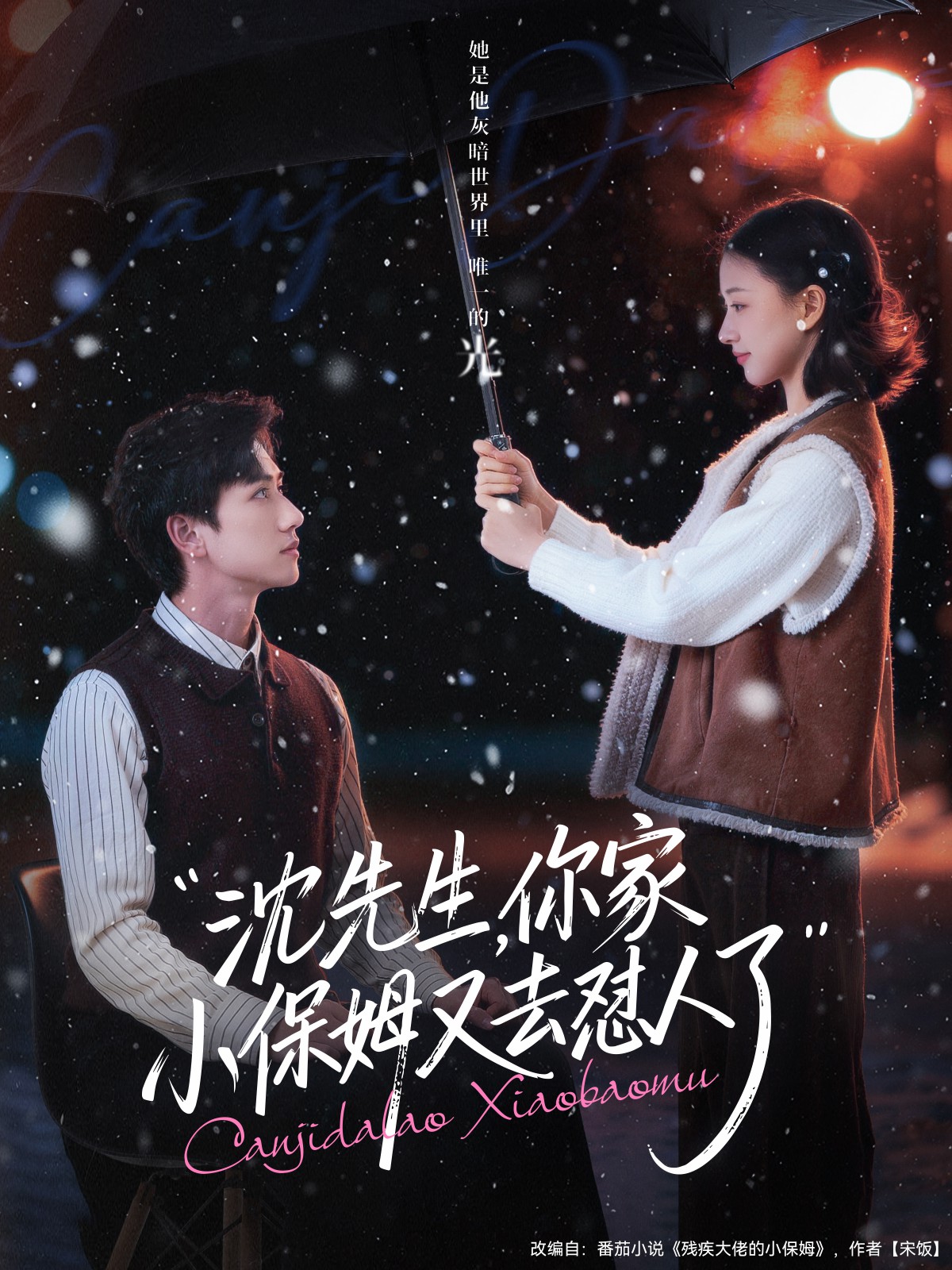 沈先生，你家小保姆又去懟人了(全集)