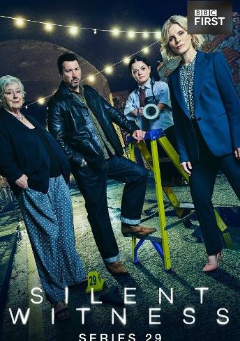 無聲的證言第二十九季