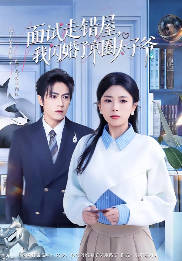 面試走錯(cuò)屋，我閃婚了京圈太子爺(全集)