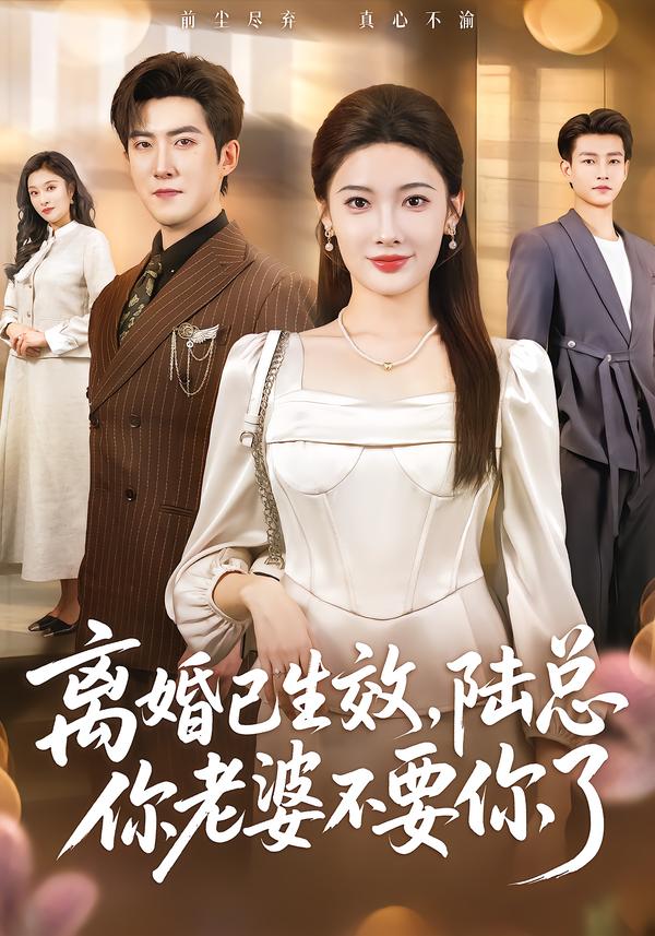 離婚已生效，陸總你老婆不要你了(全集)