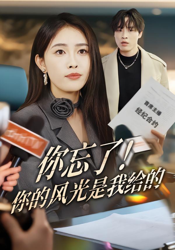 你忘了！你的風(fēng)光是我給的(全集)