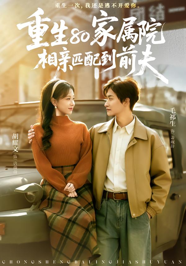 重生80家屬院，相親匹配到前夫(全集)