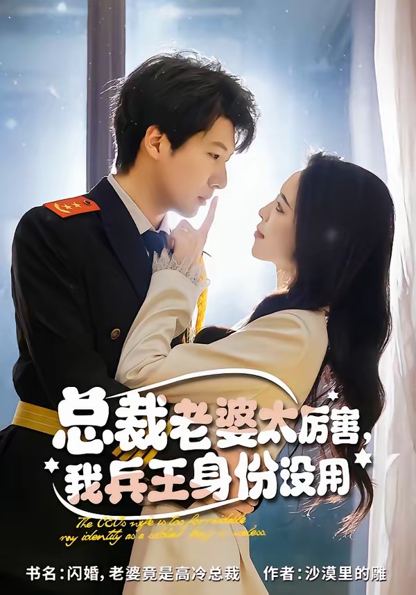 總裁老婆太厲害，我兵王身份沒(méi)用(全集)