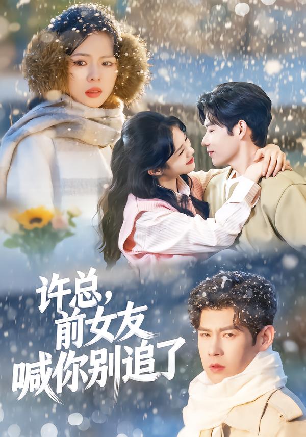 許總，前女友喊你別追了(全集)
