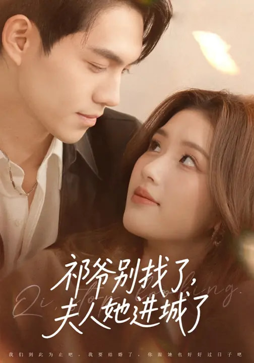 祁爺別找了，夫人她進城了(全集)