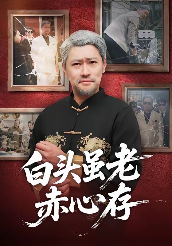 白頭雖老赤心存(全集)