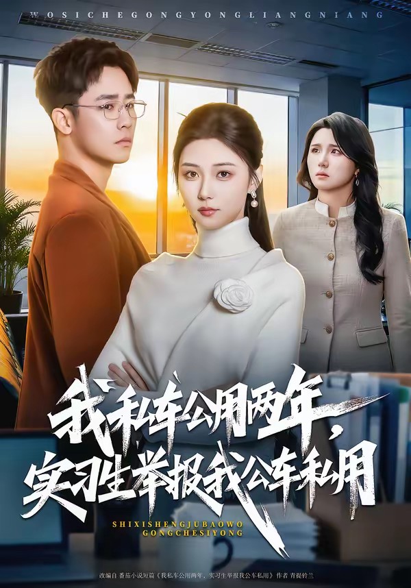 我私車公用兩年，實習生舉報我公車私用(全集)