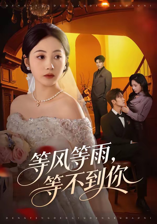 等風(fēng)等雨，等不到你(全集)