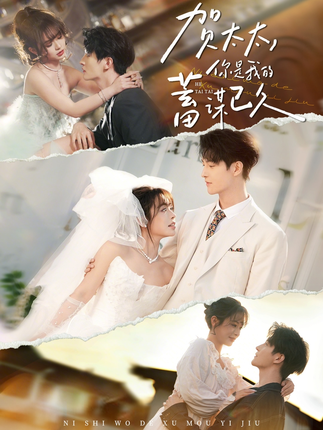 賀太太，你是我的蓄謀已久(全集)