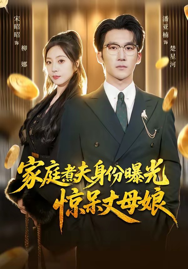 家庭煮夫身份曝光驚呆丈母娘(全集)