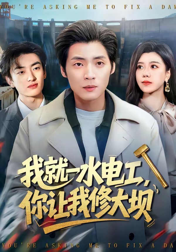 我就一水電工，你讓我修大壩(全集)