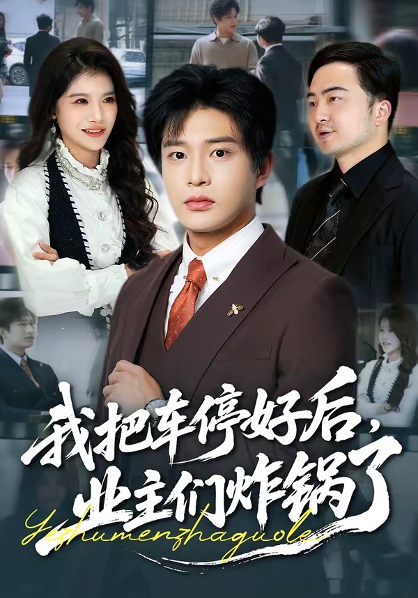 我把車停好后，業(yè)主們炸鍋了(全集)