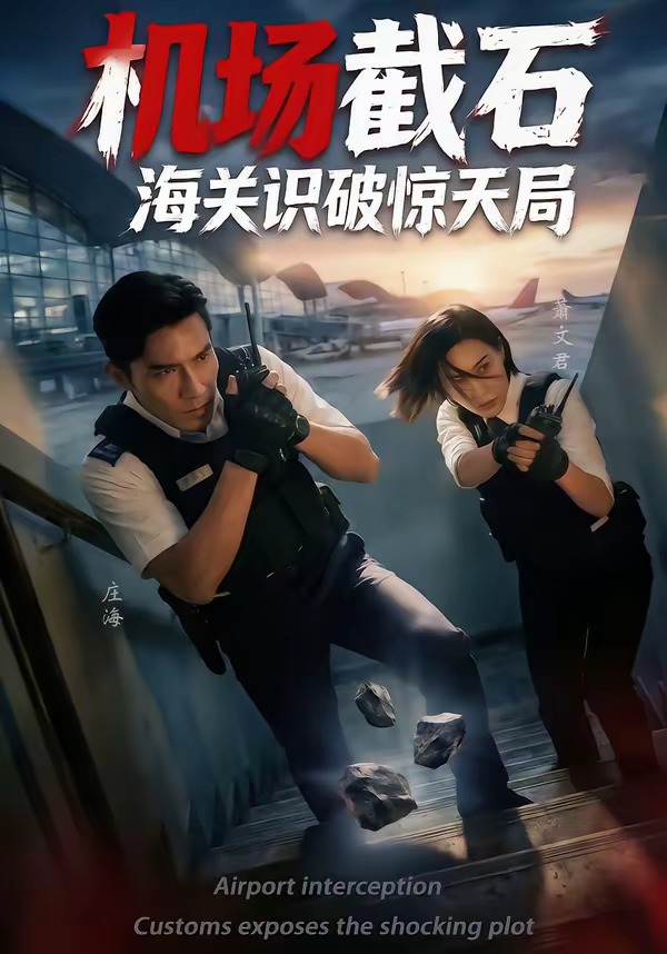 機場截石，海關識破驚天局(全集)