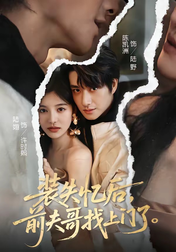 裝失憶后，前夫哥找上門了(全集)