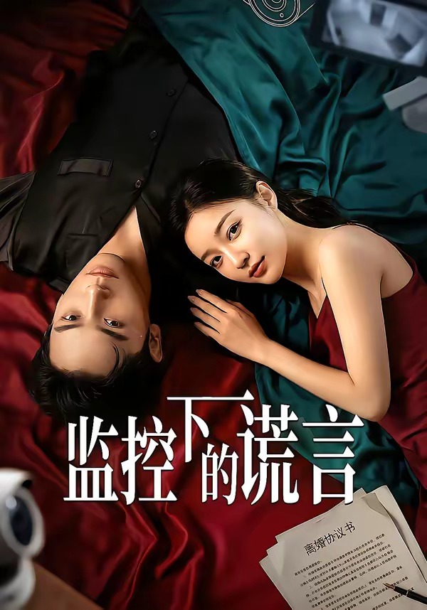 監(jiān)控下的謊言(全集)