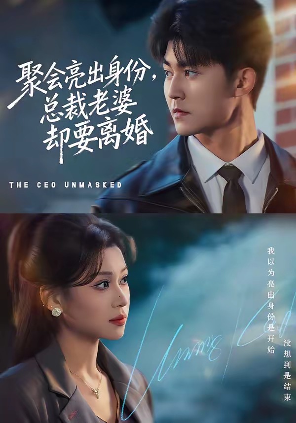 聚會亮出身份，總裁老婆卻要離婚(全集)