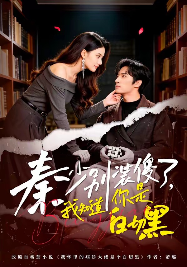 秦少別裝傻了，我知道你是白切黑(全集)