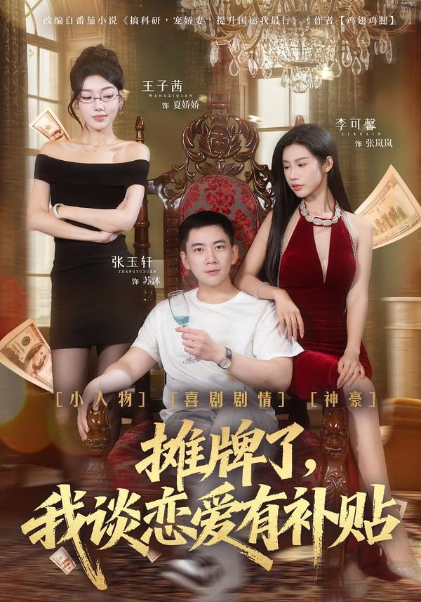 攤牌了，我談戀愛(ài)有補(bǔ)貼(全集)