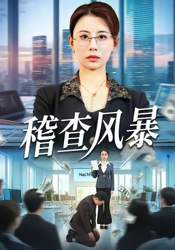稽查風(fēng)暴(全集)