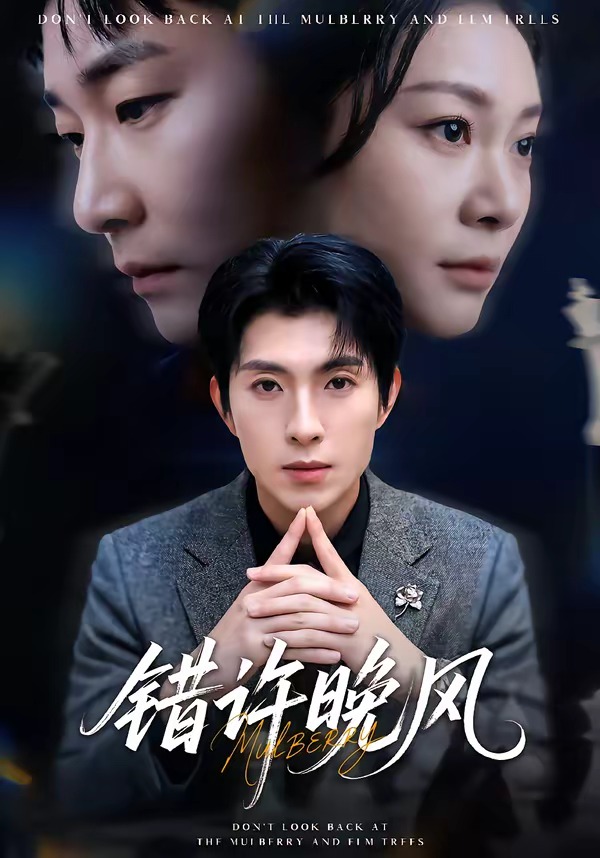 錯許晚風(fēng)(全集)