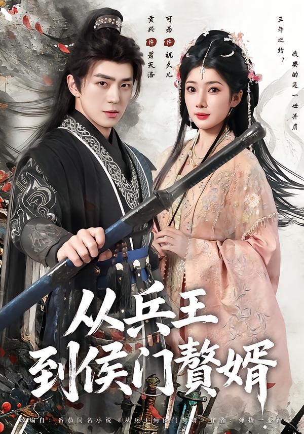 從兵王到侯門贅婿(全集)