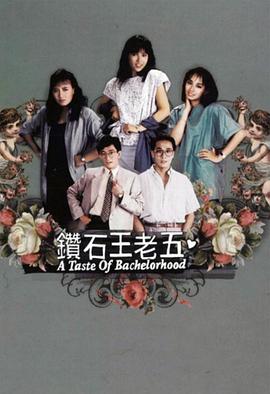 鉆石王老五粵語第14集