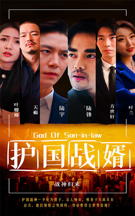 護國戰(zhàn)婿1-20集