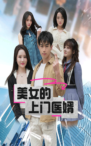 美女的上門醫(yī)婿1-20集