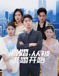 離婚從被求婚開始全集 (下)