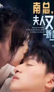 南總，夫人又出新款了全集