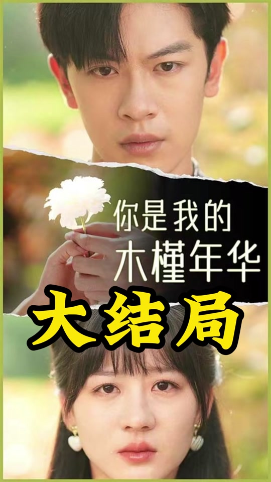 你是我的木槿年華全集 (下)