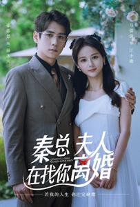 秦總，夫人在找你離婚(全集)